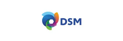 Logotipo Dsm